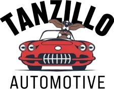 Cartoon of a dog wearing sunglasses and driving a red convertible car, viewed from the front.